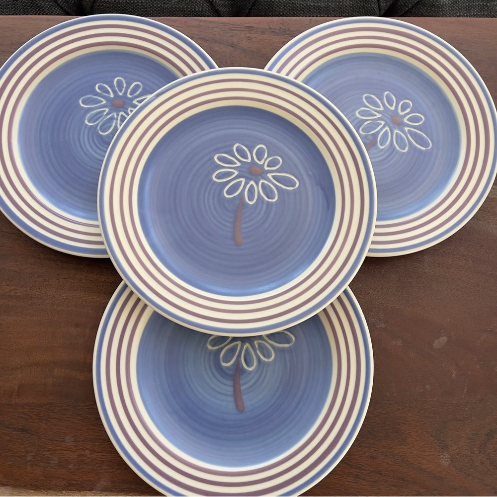 PFALTZGRAFF BAJA 8.5” plates set NWOT